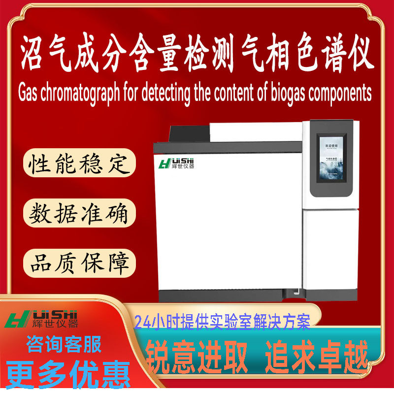 上海辉世GC-450气相色谱测沼气成分CH4C02等 沼气组成含量分析仪