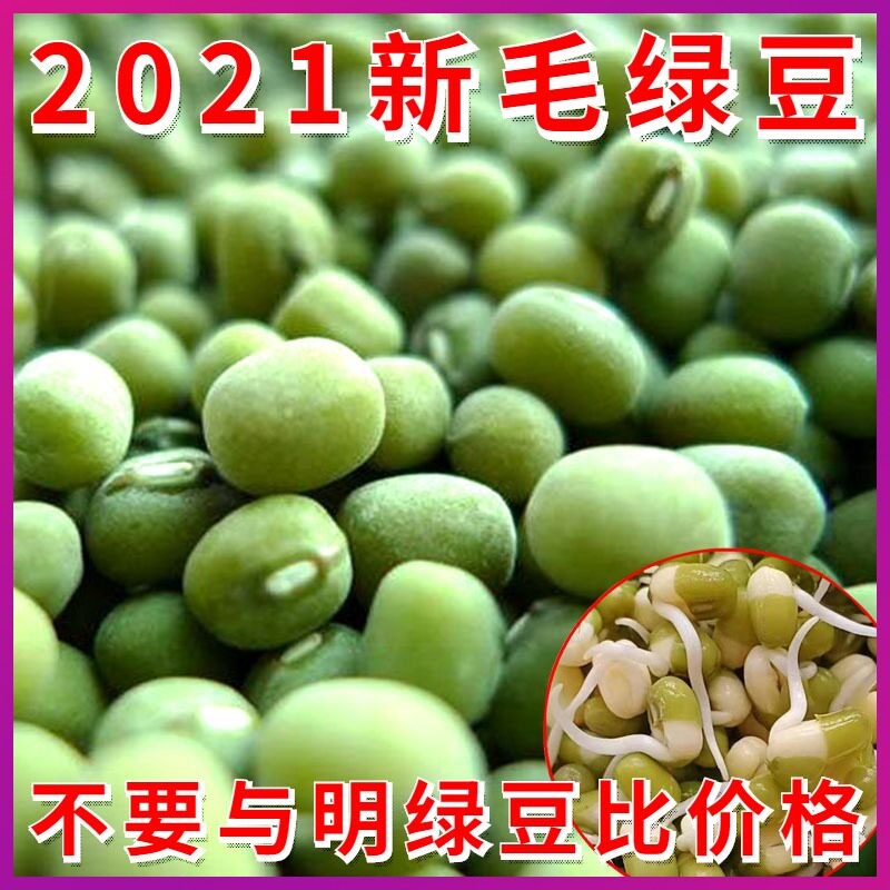 2021 New Mao green beans 5 catties Shandong Cereals Edible Bulky Green Bean Soup Can Sprout Farmhouse Grow Green Bean Seed