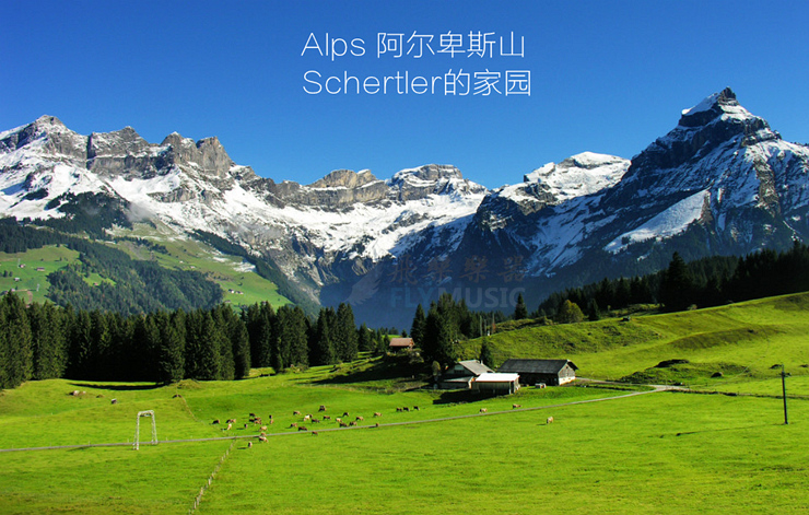 飞琴行 瑞士舒特勒Schertler Yellow吉他人声前