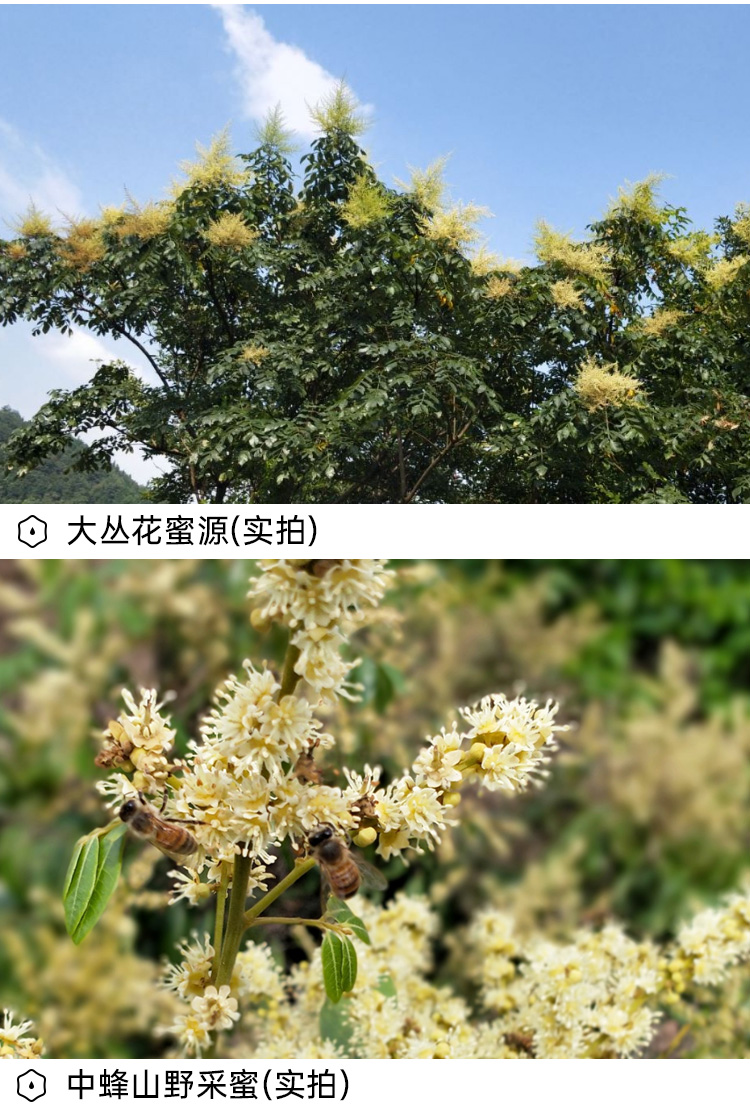 小程序 淘宝详情_06.jpg