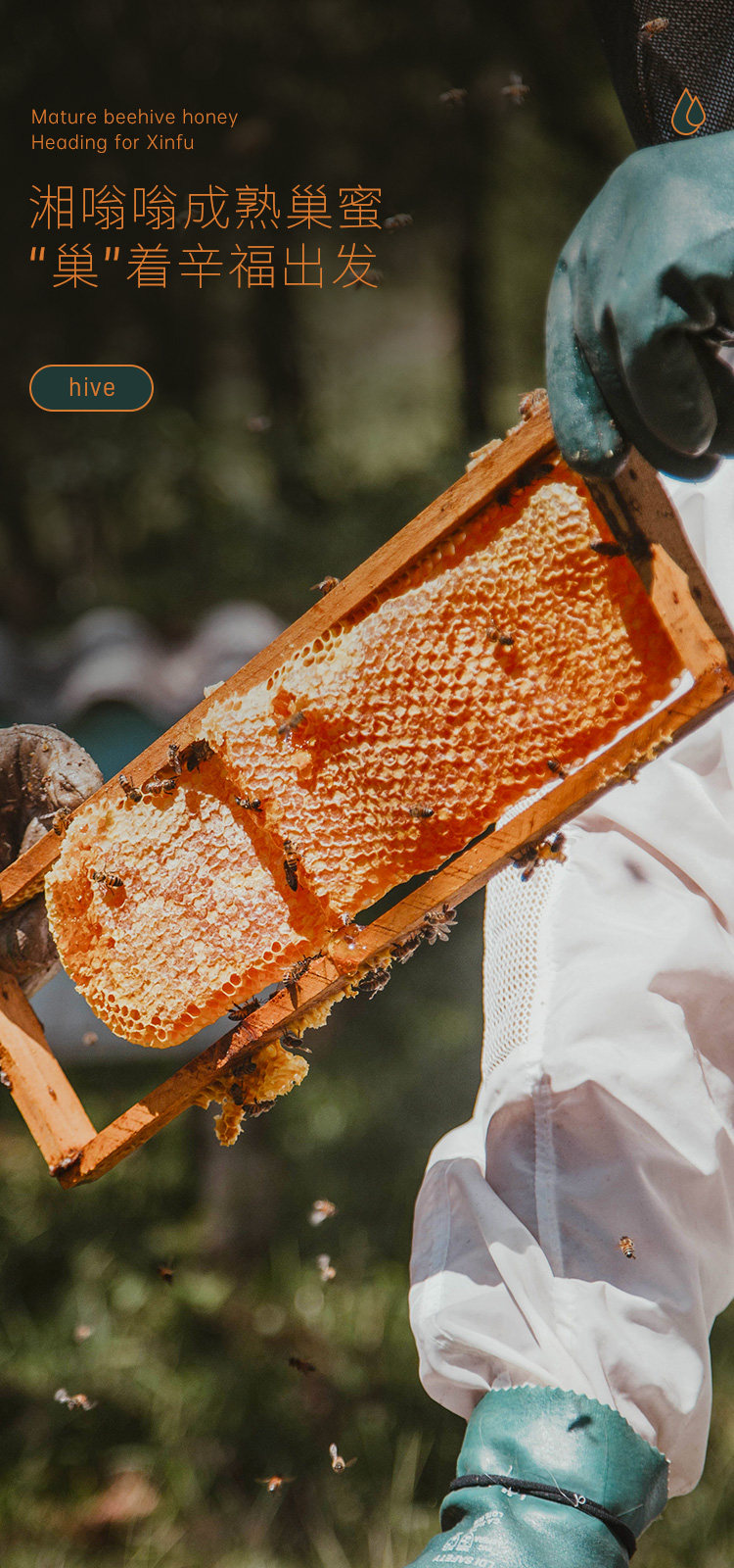 500克巢蜜_01.jpg