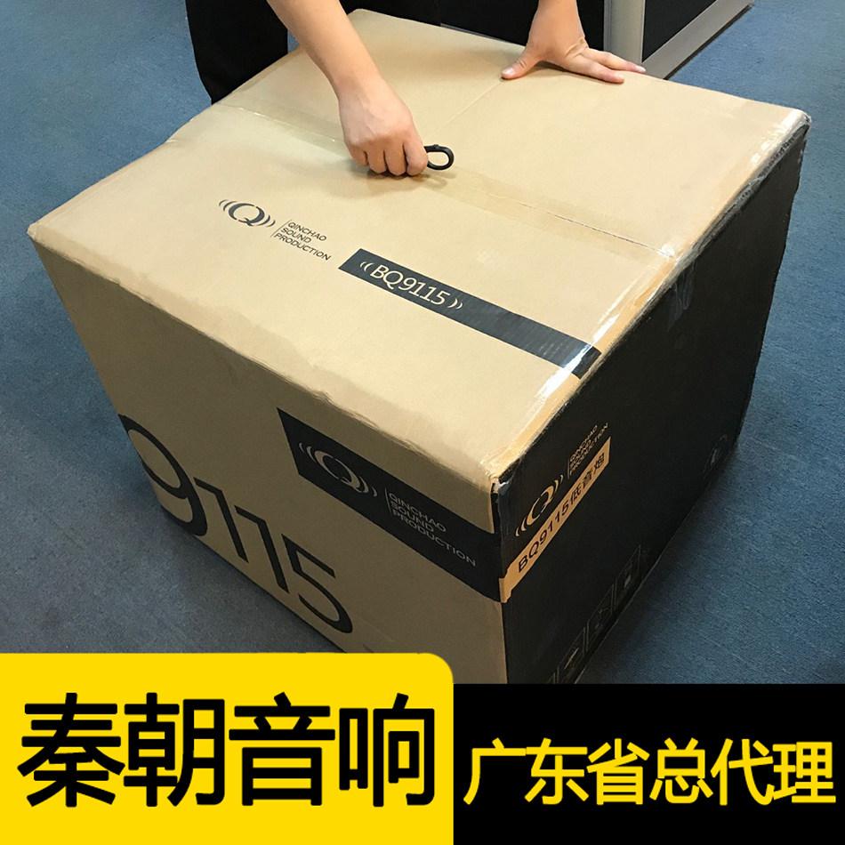 Lao Qin Qin Chao Audio AV flagship 9115D 15 inch subwoofer HiFi professional home theater panoramic sound