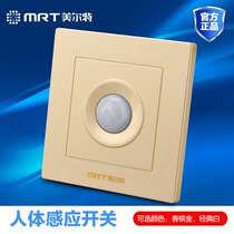 Meteor Infrared Human Sensing Sound Control Light Control Light Touch Time-lapse Switch Panel 86 Type With Led Energy Saving Lamp