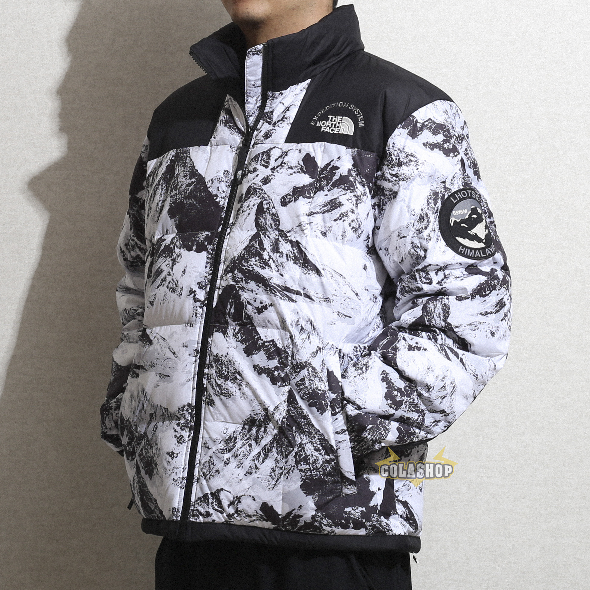 現貨the North Face北面1990雪山限定retro Lhotse冬季鵝絨羽絨衣