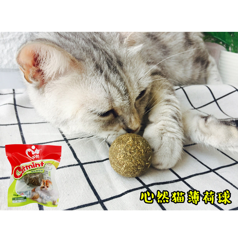 Malt Bears Hearty Cat Grass Cat Mint Ball Cat Toy Pet Cat Snacks Decompression 25g full forehead 23 12-Taobao