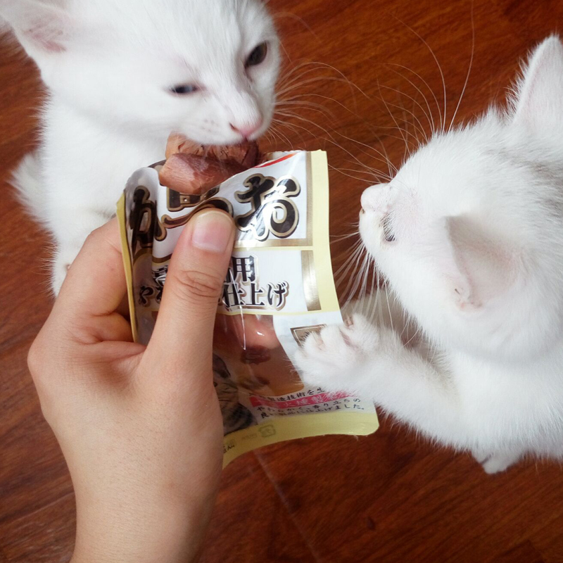 Malt gấu / 传说 传说 一 一 鲣 条 条 块 块 22 22 22 22 22 22 22 22 22 thức ăn mèo catsrang