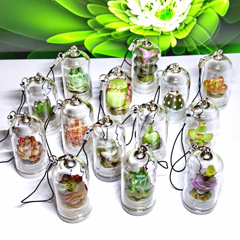 Mini Succulent Plant Landscape Bottle, Angel Flower House, Phone Charm, Mini Watering Survival Keychain Finished Product