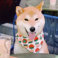 Хлопковая милая клубника