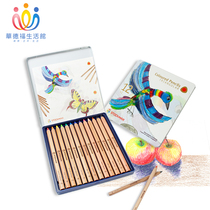 Waldorf Living Museum Stockmar Student Painting Color Triangular Color Pencil 12 1 Color Iron Box