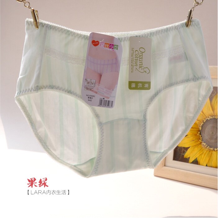 Slip jeunesse en coton - Ref 643034 Image 30