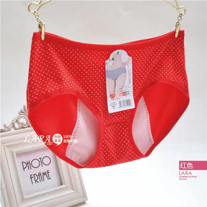 Slip en coton - Ref 642813 Image 40