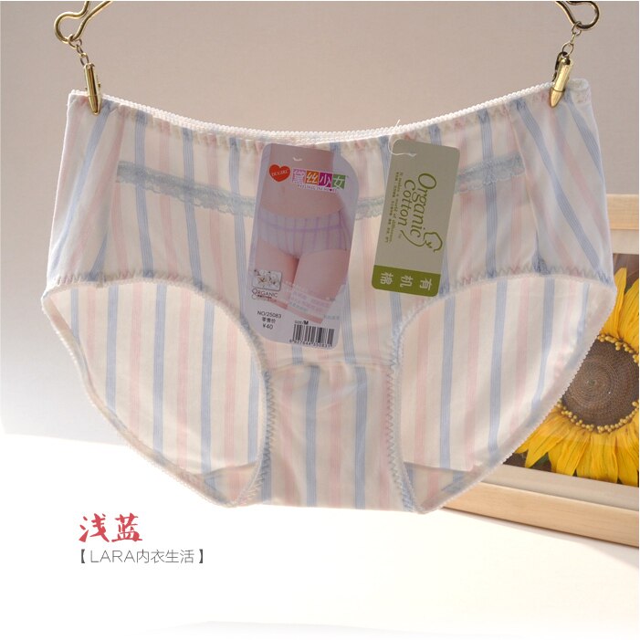 Slip jeunesse en coton - Ref 643034 Image 32