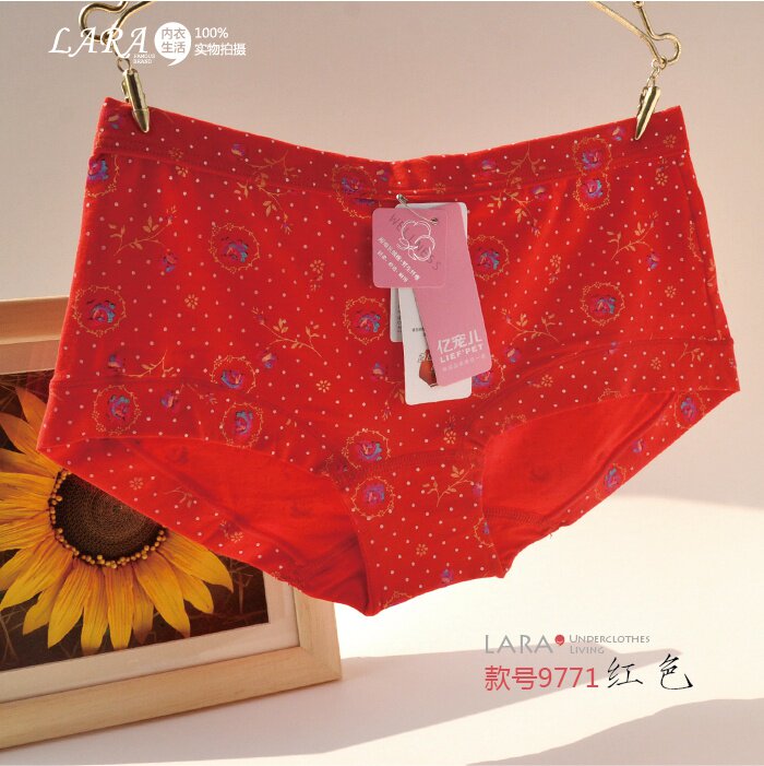 Slip jeunesse 9700 9771 en coton - Ref 645270 Image 46