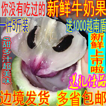 Vietnamese variety milk fruit Tropical fresh fruit Venus fruit Star Apple baby pregnant woman moon fruit 5 kg