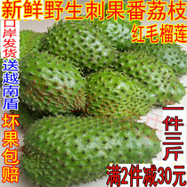 Full two pieces minus 30 thorn fruit soursop red hair Durian tropical fresh fruit red hair Shakya fruit 3 pounds