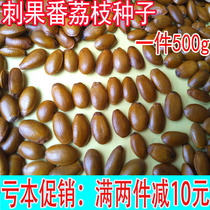 Wild thorn fruit soursop seeds Red durian seeds soursop seeds 1kg fresh