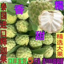 Thai tropical fresh fruit Big head Shakyamuni Soursop Buddha head fruit Milk ice Qilu Shakyamuni 5 kg