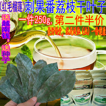 The second half-price thorn fruit soursop dried leaves Red durian dried leaves Graviola leaves Half a pound