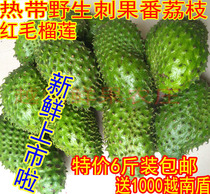 Crown shop] Imported soursop red durian tropical fresh fruit red Shakya fruit 6 pounds