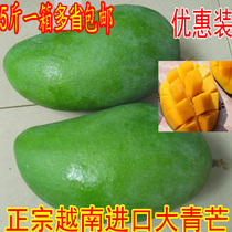 Vietnam fresh imported big green mango Golden yellow mango Fragrant mango green skin sweet mango Non-Guangxi local mango 5 pounds