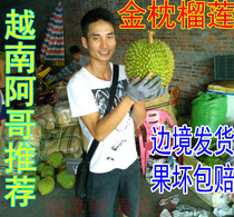 Thai golden pillow Durian Tropical fresh fruit Golden pillow dried green skin milk durian A delicious