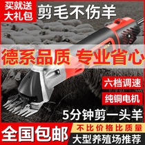 New wool cut pushback electric hair cut machine electric pushback Hair Special Sheen High Power Cut Wool God