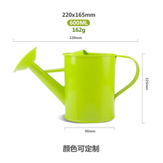 Лейка 园艺洒水壶儿童家用喷水壶养花浇菜浇水器铁艺盆栽浇花喷壶花洒壶