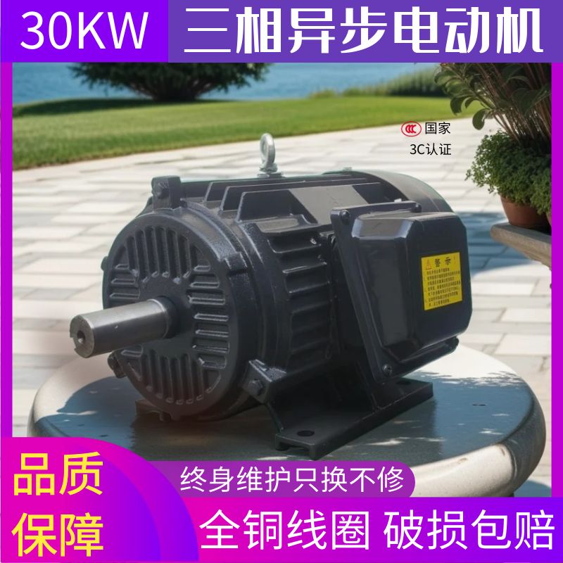 30kw kilowatts motor 380v three-phase ye2ye3ye4 series national standard all-copper coil three-phase asynchronous motor-Taobao