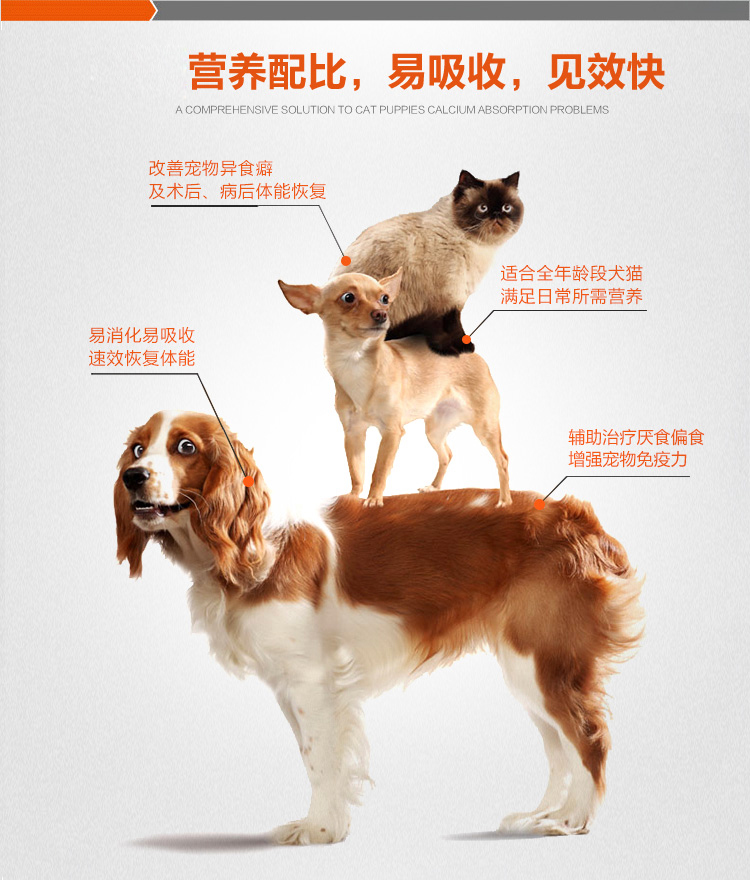 Dog dinh dưỡng kem reddog red dog dinh dưỡng kem 120 gam mèo dog dinh dưỡng đại lý teddy vàng dog sản phẩm sức khỏe sữa cho chó 6 tháng	