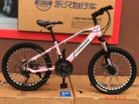 Элегантный порошок (21 скорость, герметичная центральная ось)