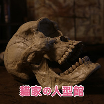 (Cat Home Spot) 024 STUDIO Mysterious Archives Series Giant Skull