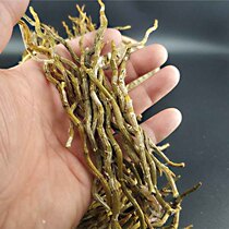 Dendrobium officinale feng dou dry article fresh health tea herbs dry 250g