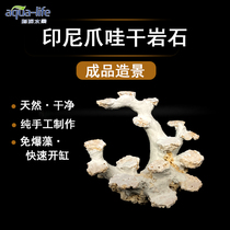 Indonesian Java Island sea tank Java stone landscaping free of algae rapid opening of the tank culture coral dry rock landscaping