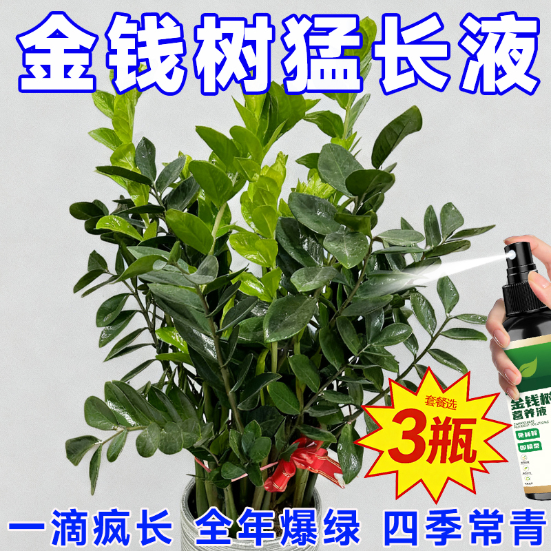 Special Nutrient Solution for Money Trees, Promotes Rooting and Sprouting, Green Plant Care, Prevents Yellowing Leaves and Root Rot, No Dilution Needed, High-Quality Liquid Fertilizer