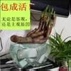 Товары от 一诺潮童童装
