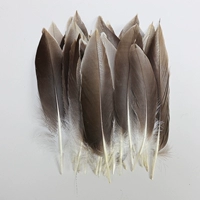 Сине-белый, 10-15см