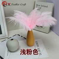 Цвет лотоса