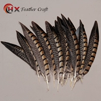 Натуральный цветовой хвост около 10 см 1