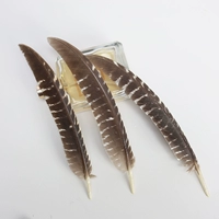 Основной цвет Scimitar 10-15 см 10 штук