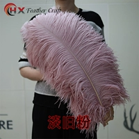 Грубая ширина стержней волосы 60-65 см 1 легкий порошок