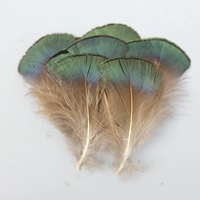 Зеленые таблетки 50 шт.