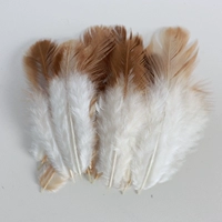 Deep Khaki Color Pomacao 5-8 см. Основной цвет 50 кусочков