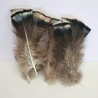 Модель с плоским зеленым светом естественного цвета 10-15 см 10 шт.