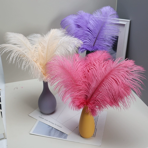 Страусиное перо 25-30 см интернет-знаменитости фотосессия перо настенный якорь фон настенный материал аксессуары свадебная композиция из перьев