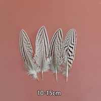 Хвост куриный кремовый серебристый 10-15 см 5 шт.