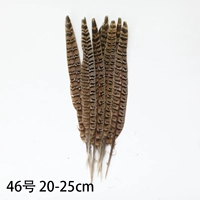 Мать Шан Джи Хвост 20-25см5 Филиал № 46