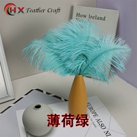 Мятно-зеленый