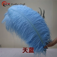 Грубая ширина стержня 60-65 см 1 Тянлан