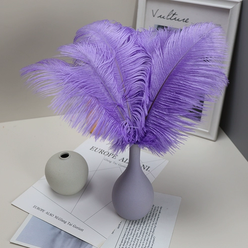 Страусиное перо 25-30 см интернет-знаменитости фотосессия перо настенный якорь фон настенный материал аксессуары свадебная композиция из перьев