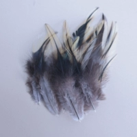 Наконечники с золотым краем 6-11 см, оригинальный цвет, 50 шт.